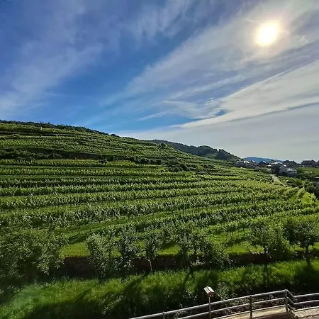In Der Wachau 公寓 *